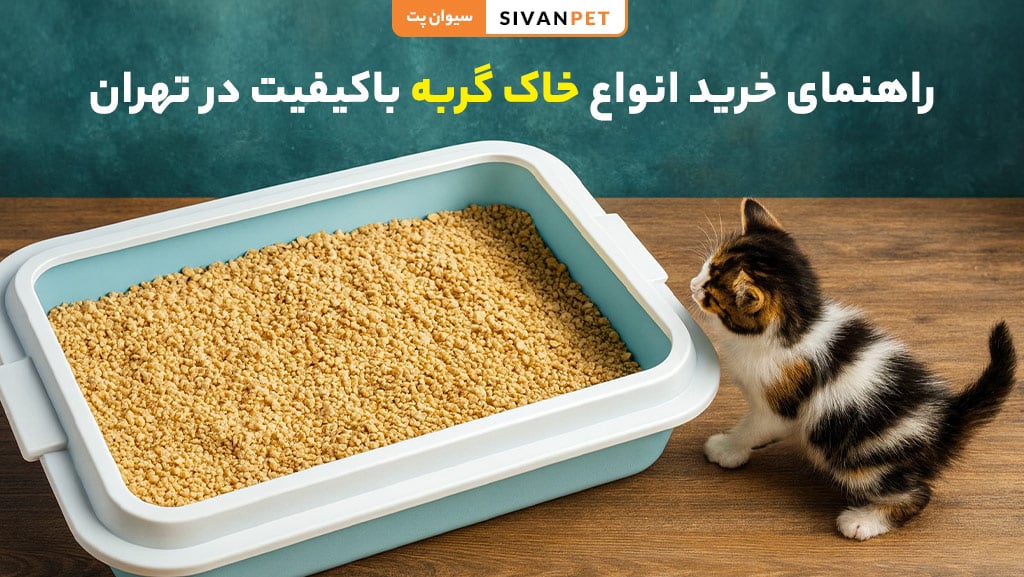 خرید خاک گربه با کیفیت در تهران