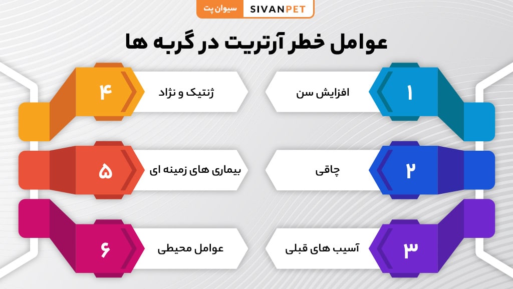عوامل خطر التهاب مفاصل گربه