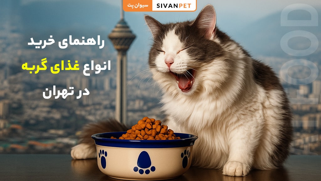 خرید بهترین غذای گربه در تهران با بررسی برندها