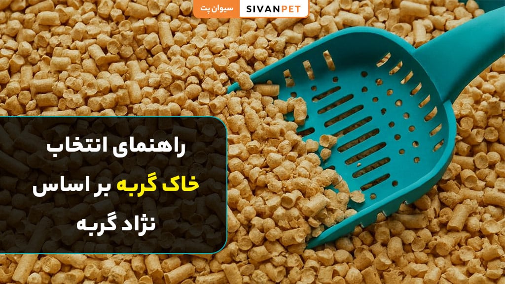 راهنمای انتخاب خاک گربه بر اساس نژاد