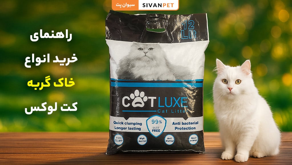 راهنمای خرید انواع خاک گربه کت لوکس
