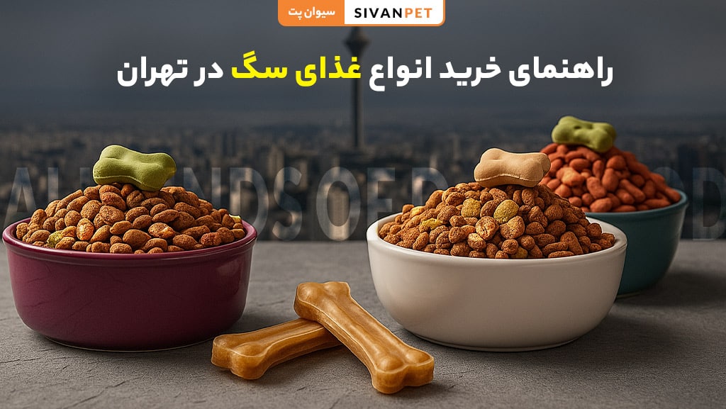 خرید انواع غذای سگ در تهران با قیمت مناسب و کیفیت بالا