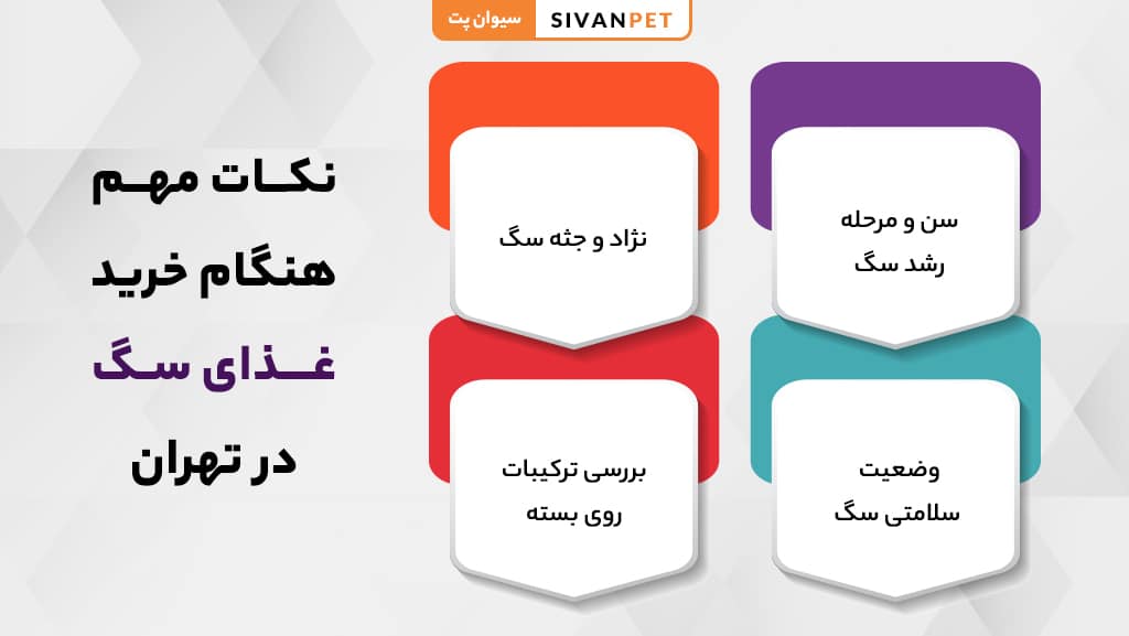 نکات مهم و راهنمای خرید غذای سگ در تهران
