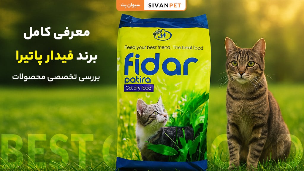 معرفی برند فیدار پاتیرا