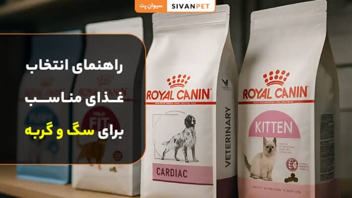 آشنایی با برند رویال کنین