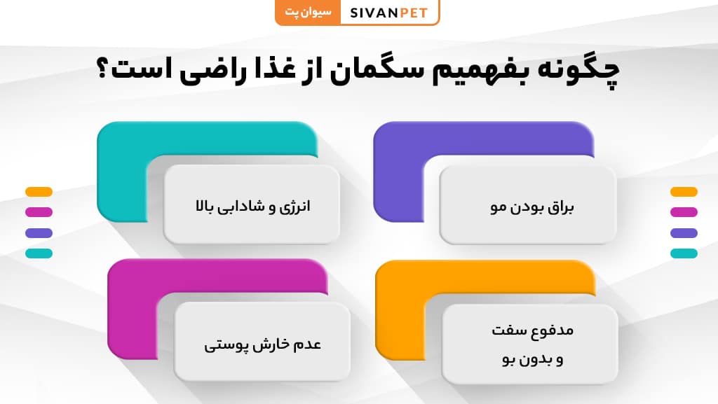 نشانههای رضایت سگ از غذایش و رفتار او پس از خوردن غذا