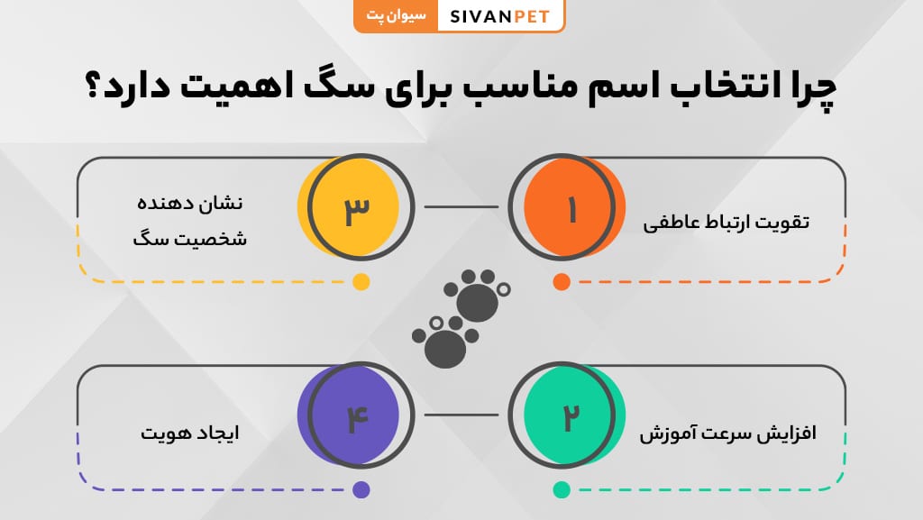 اهمیت انتخاب نام مناسب برای سگ