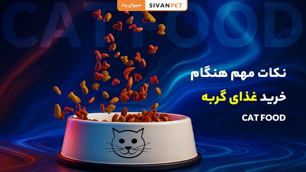 خرید غذای گربه برای حفظ سلامت و شادابی حیوان