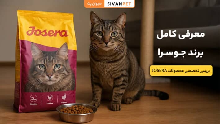 خرید محصولات برند جوسرا