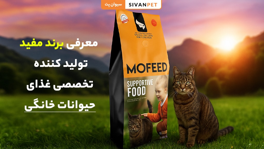 معرفی برند محصولات مفید (MoFeed)