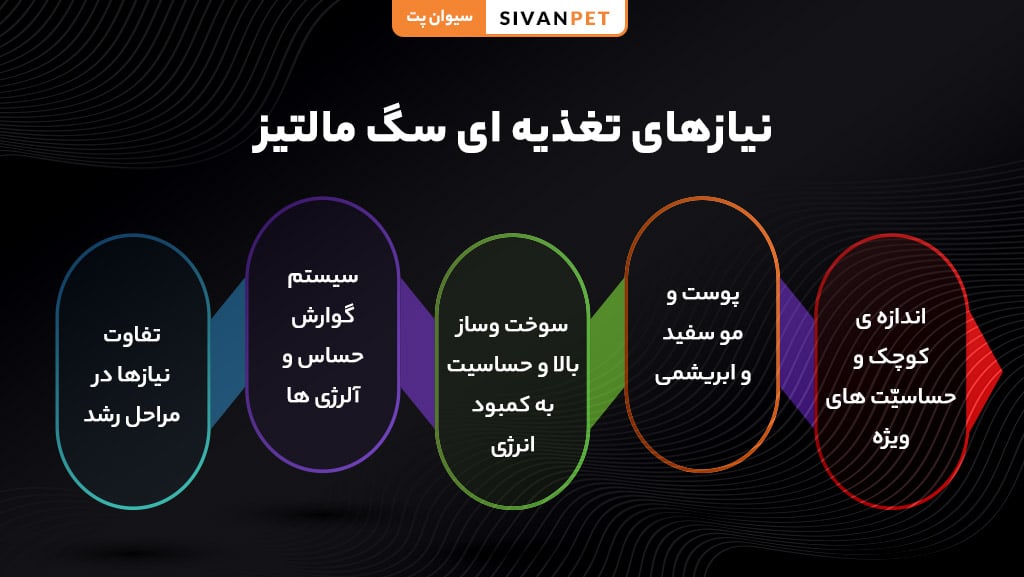نیازهای تغذیه ای سگ مالتیز