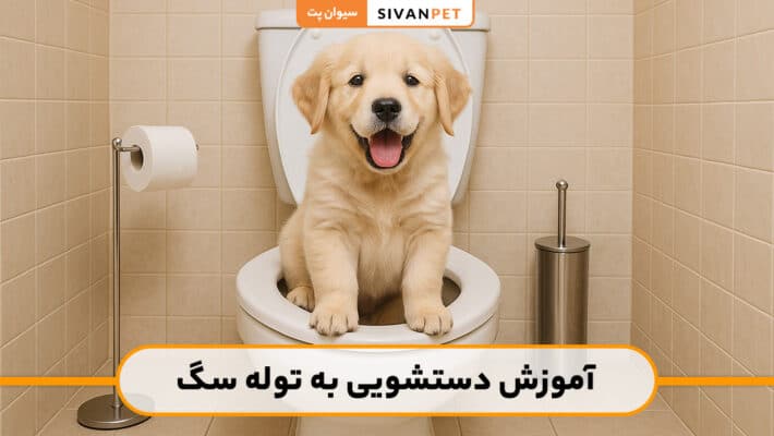 آموزش دستشویی به توله سگ به روش اصولی و سریع