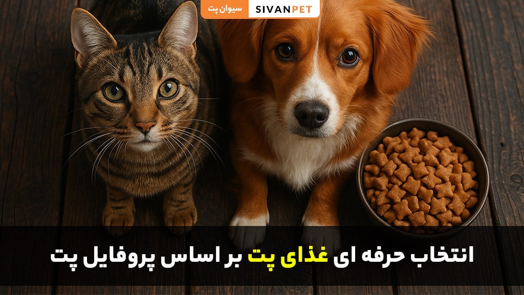 انتخاب غذای مناسب بر اساس پروفایل و نیاز حیوان خانگی