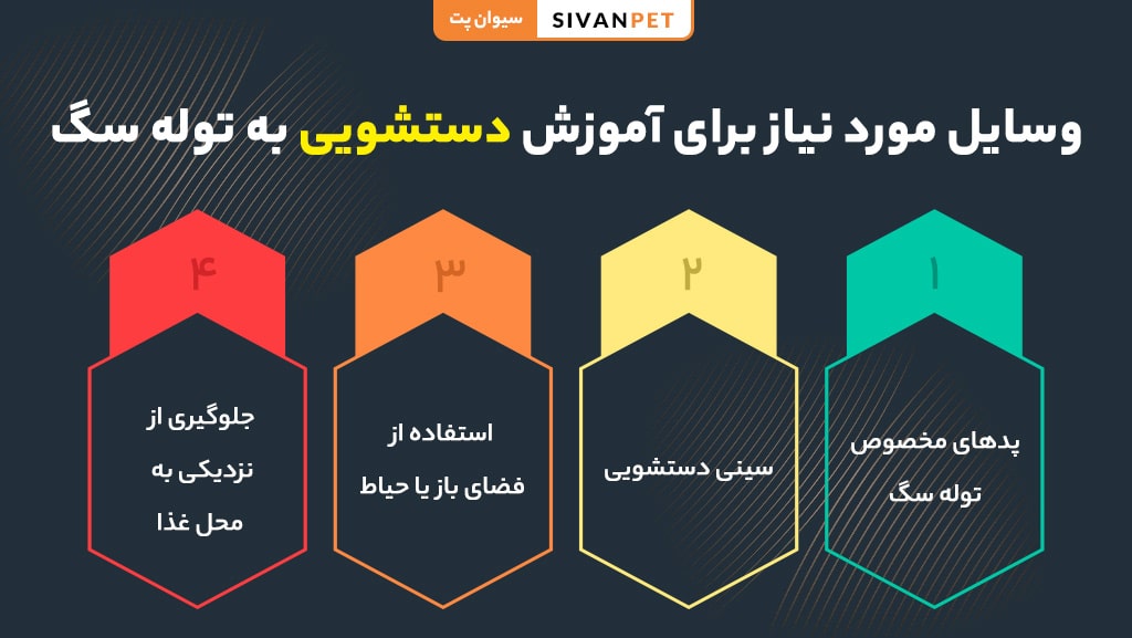 روشها و راهکارهای تربیتی برای دستشویی توله سگ