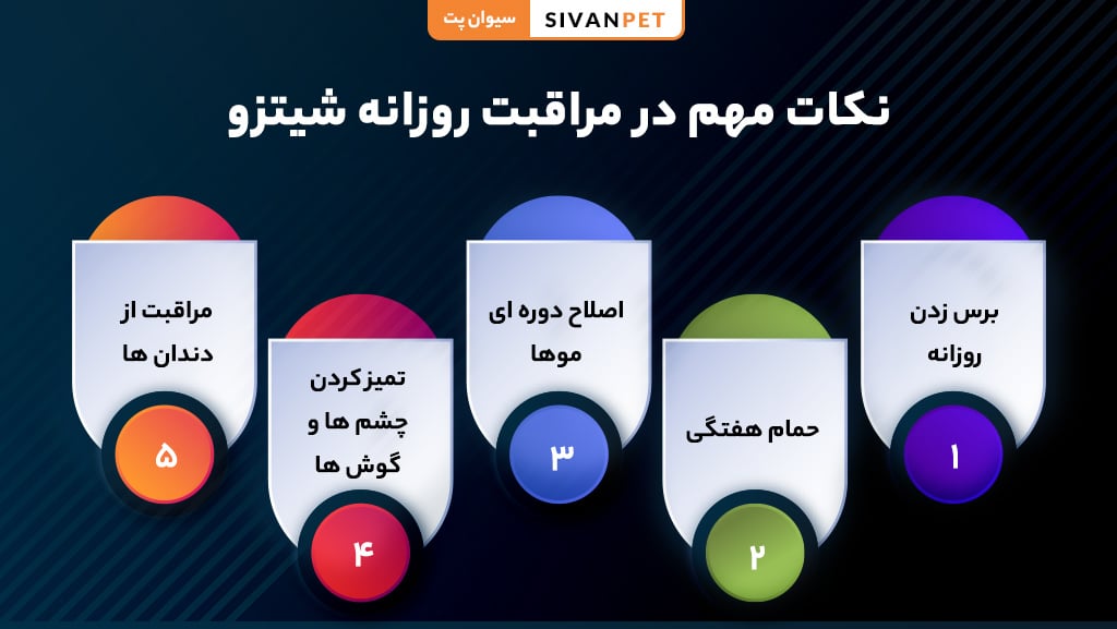 نگهداری و مراقبت از شیتزو
