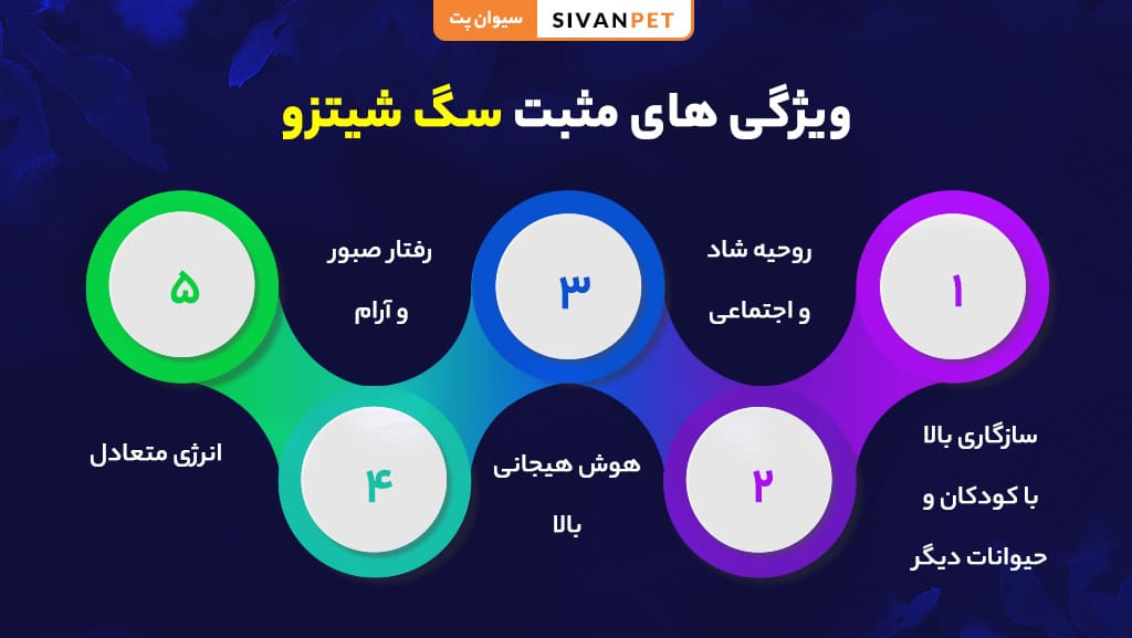 ویژگیهای مثبت نژاد شیتزو