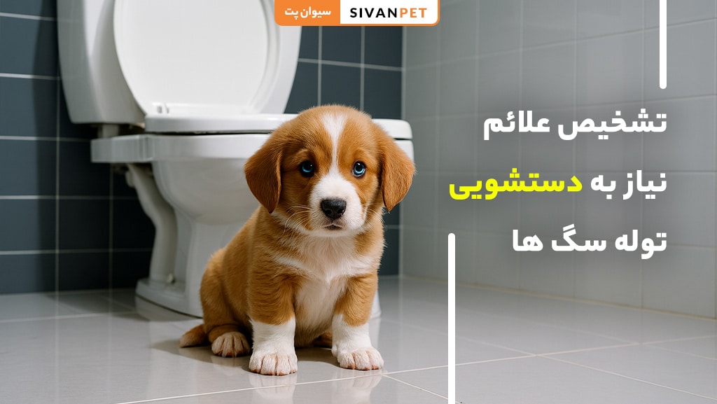 علائم نیاز به دستشویی در توله سگها