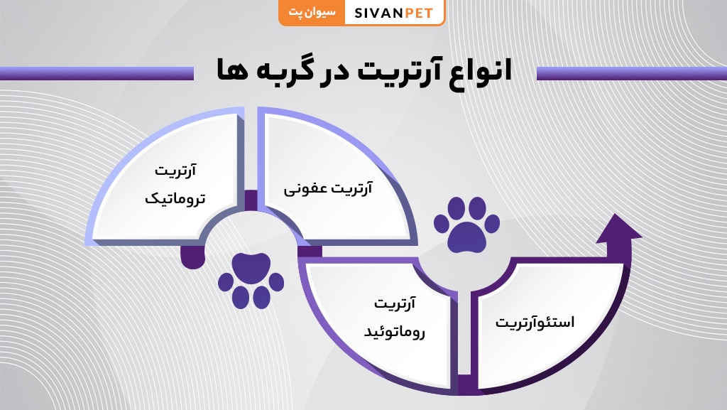 انواع آرتریت در گربه ها