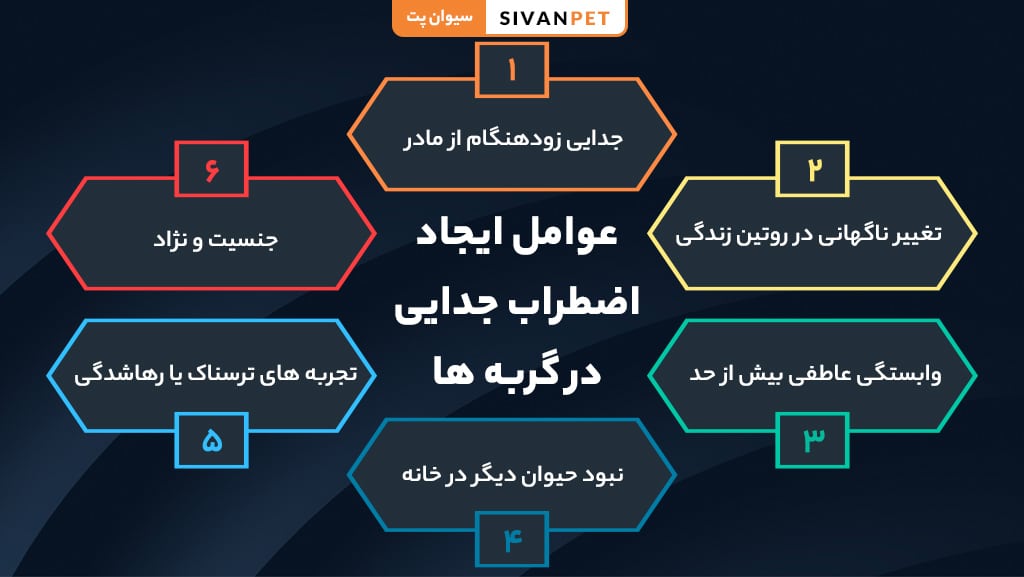 دلایل اصلی اضطراب جدایی در گربه‌ها