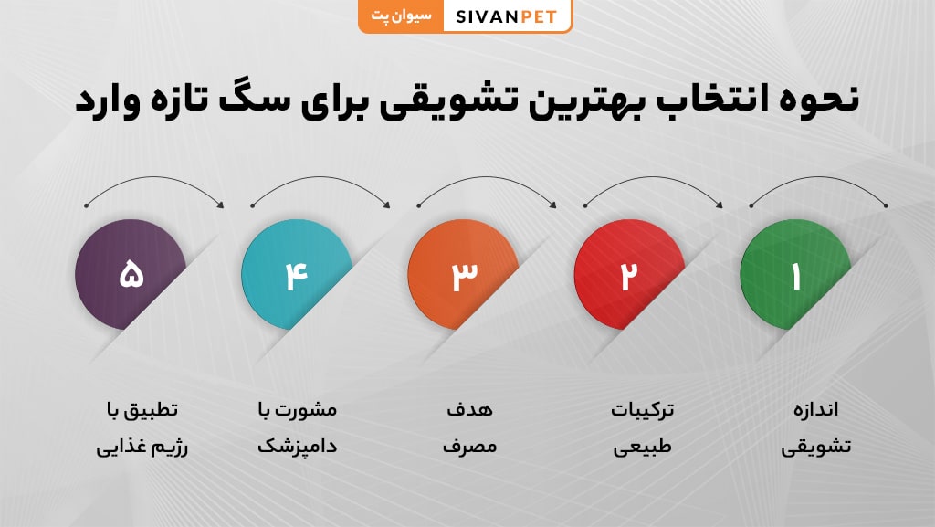 راهنمای انتخاب تشویقی مناسب برای سگ تازه وارد