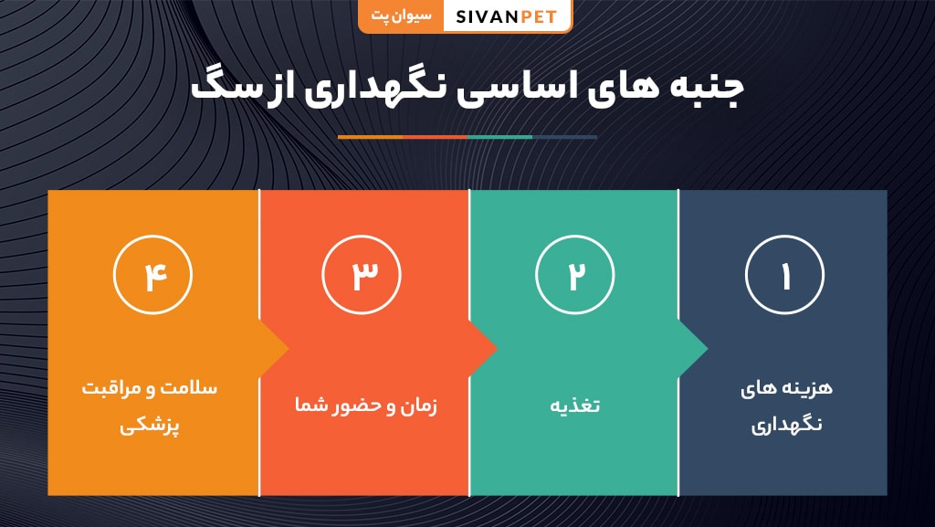 نکات اساسی نگهداری سگ و مراقبت صحیح از حیوان خانگی