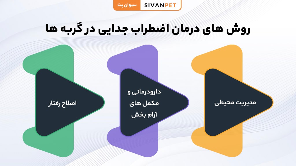 روش‌های درمان اضطراب جدایی گربه